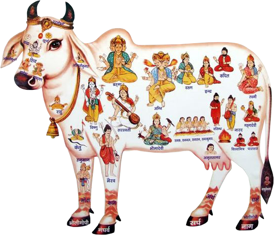 Gau-Mata