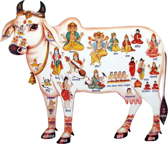 Gau Mata